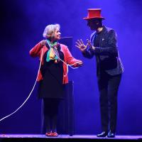 Allan Hart - Stand Up Magique - Rires - Comédie - Magie - interactif